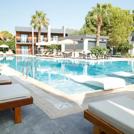 Hotel Forest In 3*