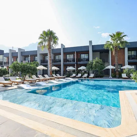 Hotel Forest In 3*