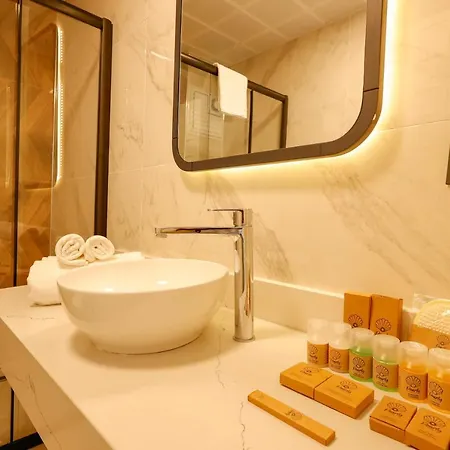 Hotel Forest In 3*