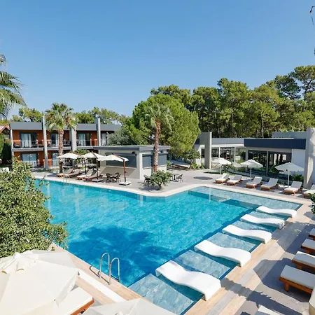Hotel Forest In 3*