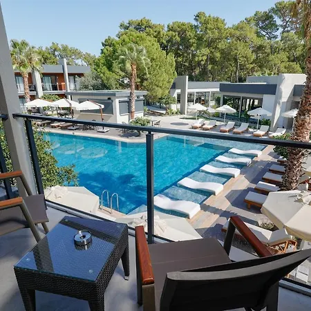 Hotel Forest In 3*