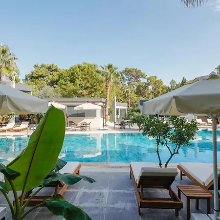 Hotel Forest In 3*