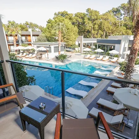 Hotel Forest In