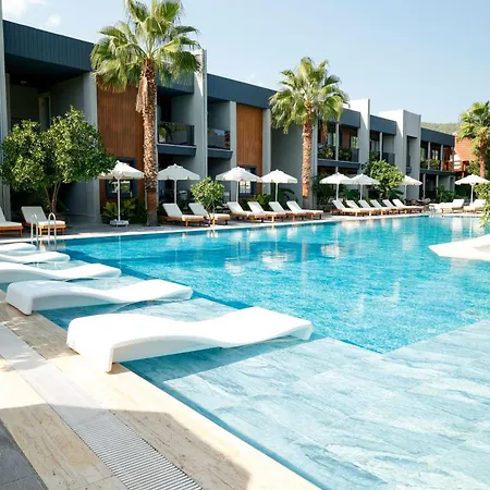 Hotel Forest In